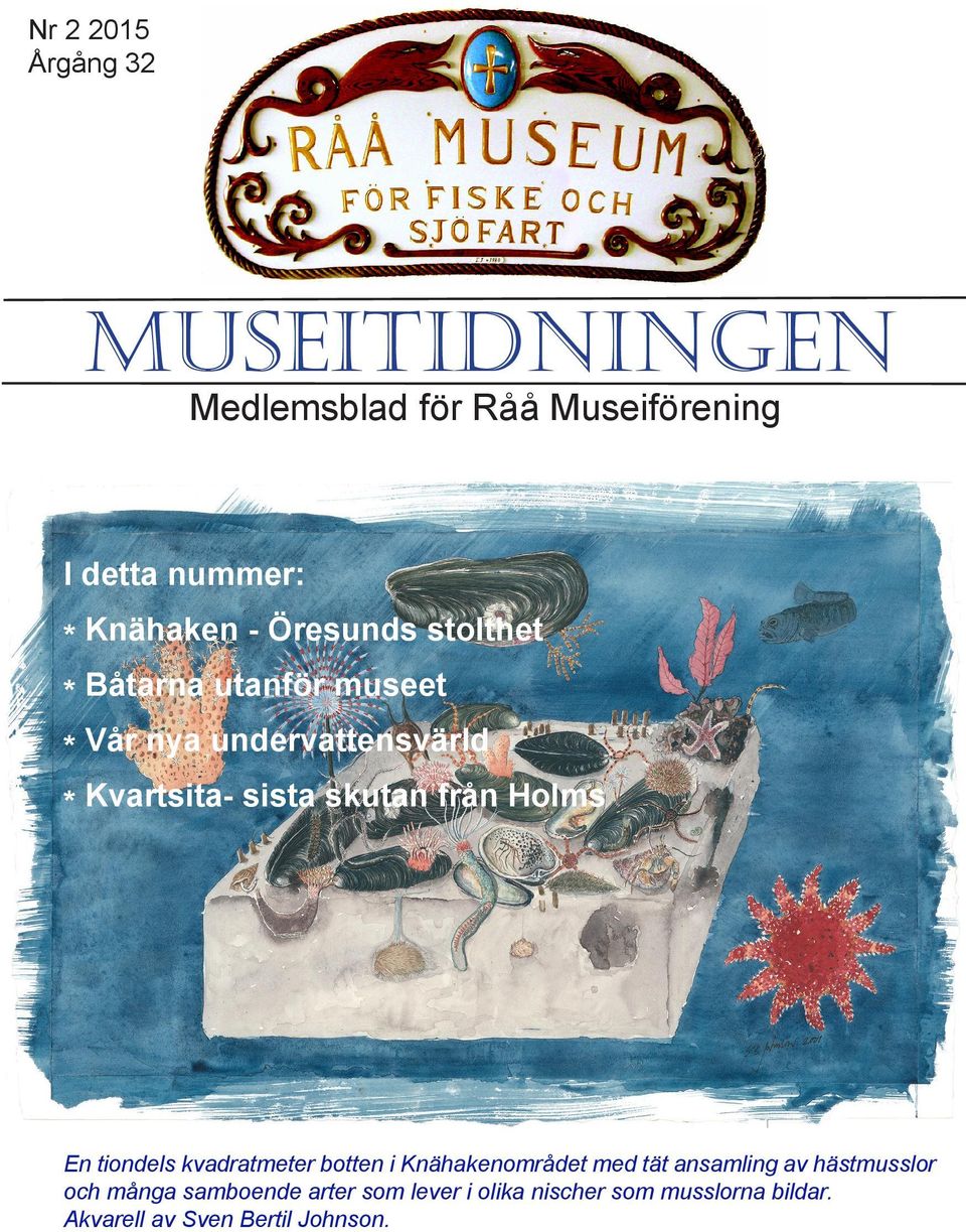 från Holms En tiondels kvadratmeter botten i Knähakenområdet med tät ansamling av hästmusslor och