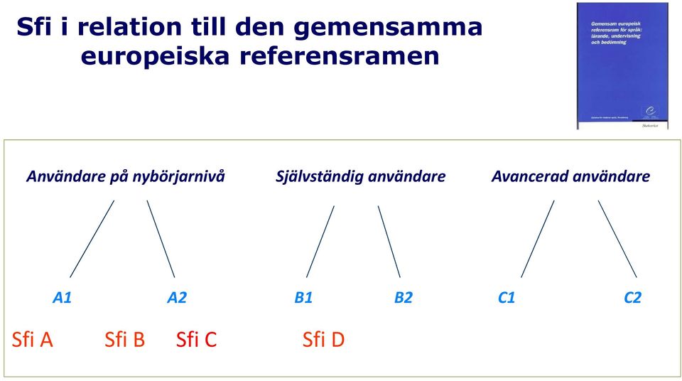 nybörjarnivå Självständig användare