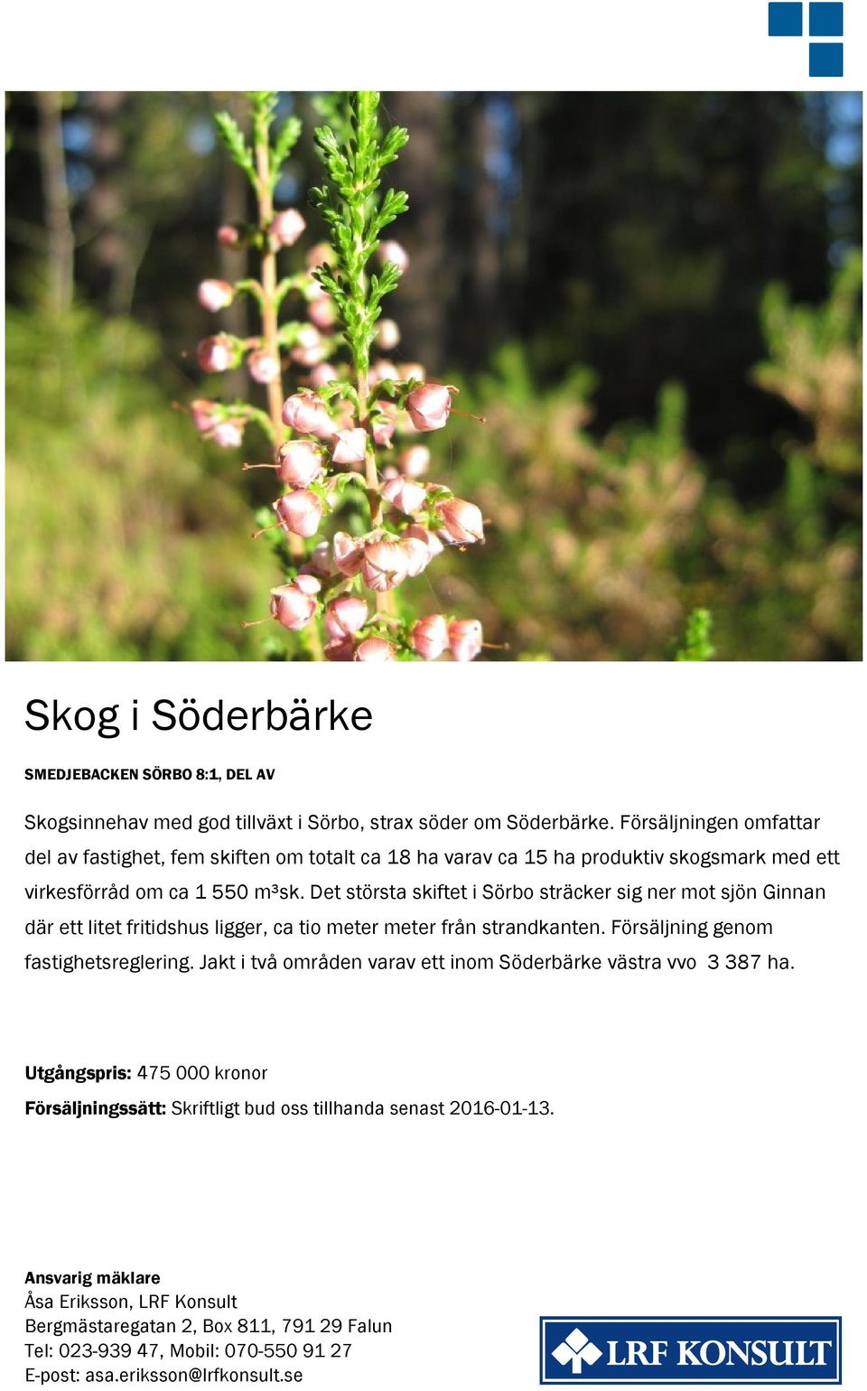 Det största skiftet i Sörbo sträcker sig ner mot sjön Ginnan där ett litet fritidshus ligger, ca tio meter meter från strandkanten. Försäljning genom fastighetsreglering.