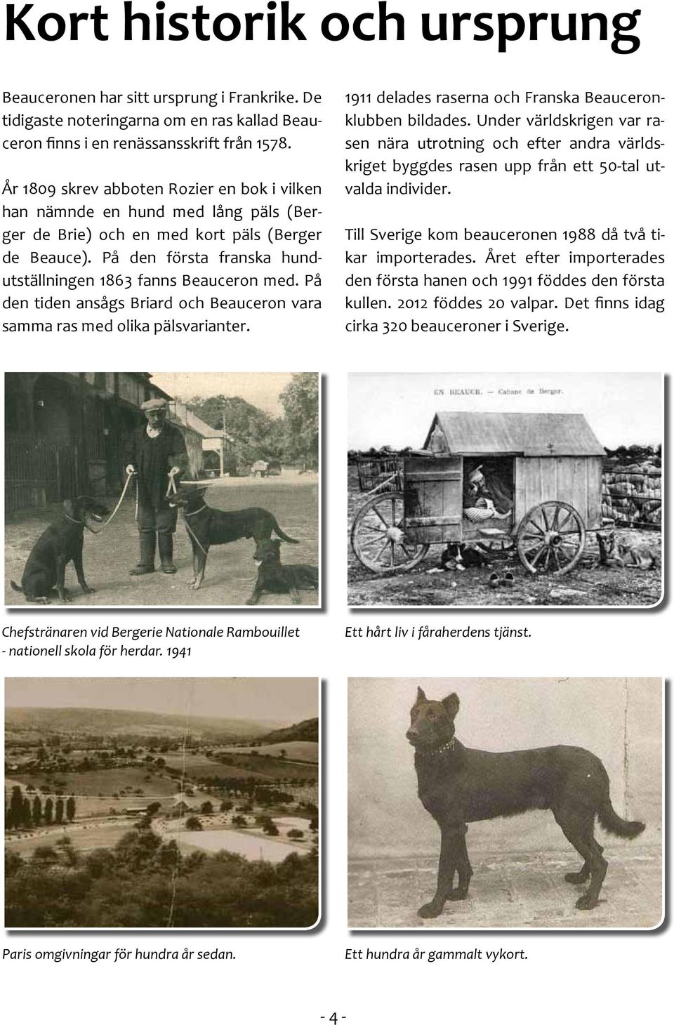 På den första franska hundutställningen 1863 fanns Beauceron med. På den tiden ansågs Briard och Beauceron vara samma ras med olika pälsvarianter.