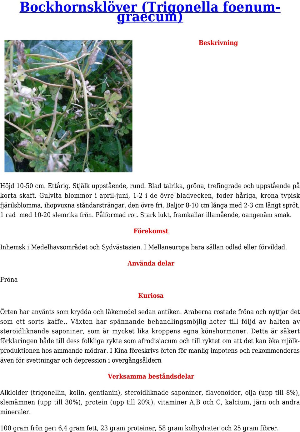 Baljor 8-10 cm långa med 2-3 cm långt spröt, 1 rad med 10-20 slemrika frön. Pålformad rot. Stark lukt, framkallar illamående, oangenäm smak. Inhemsk i Medelhavsområdet och Sydvästasien.