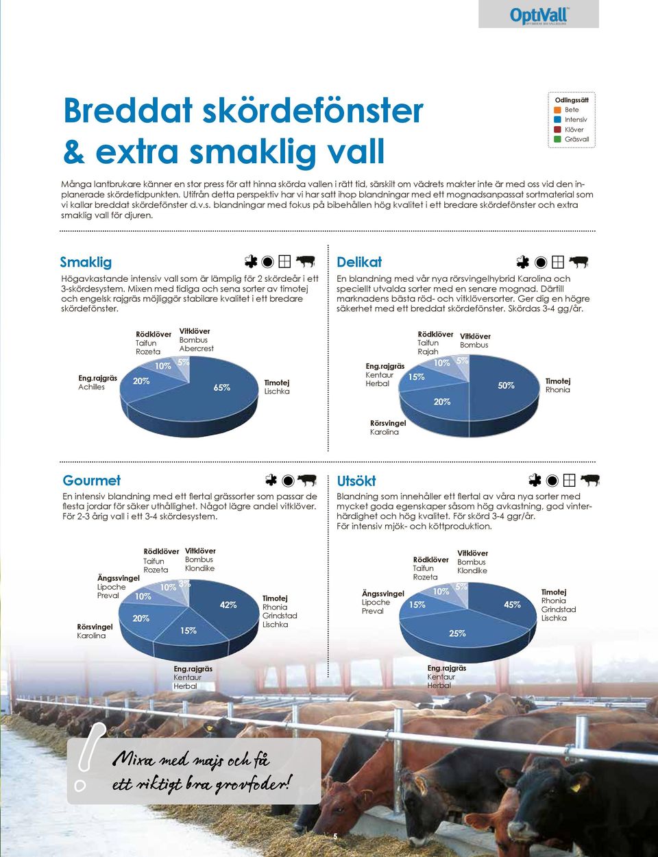 Smaklig Högavkastande intensiv vall som är lämplig för 2 skördeår i ett 3-skördesystem.