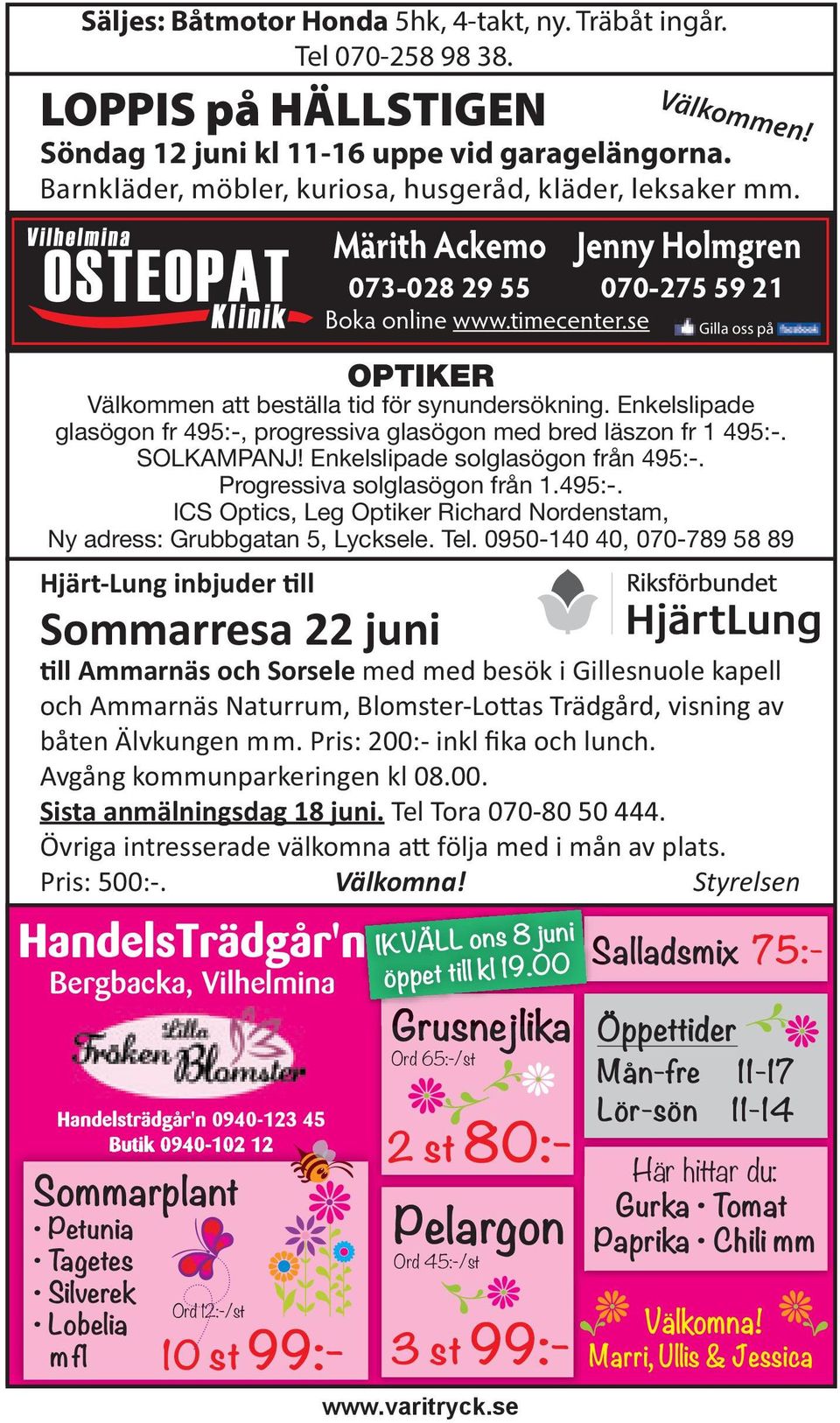 Bergbacka, Vilhelmina Sommarplant Petunia Ta getes Silverek Lobelia mfl Ord 12:-/st 10 st 99:- Märith Ackemo IKVÄLL ons 8 juni öppet till kl 19.