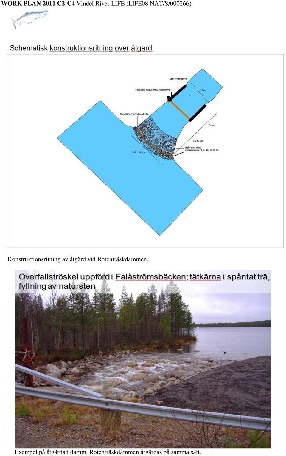 Exempel på åtgärdad damm.