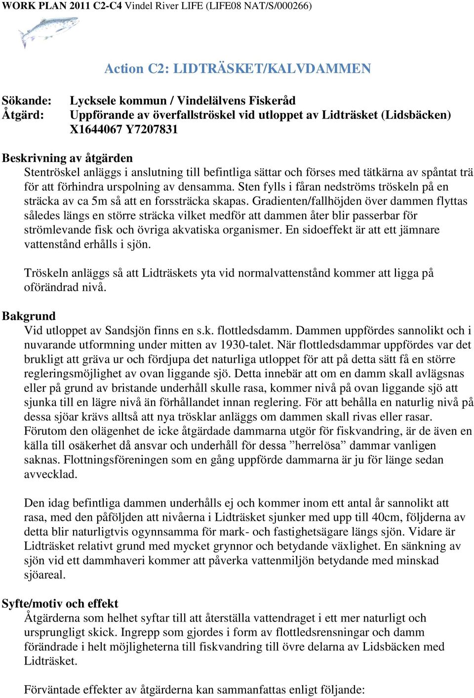 Sten fylls i fåran nedströms tröskeln på en sträcka av ca 5m så att en forssträcka skapas.