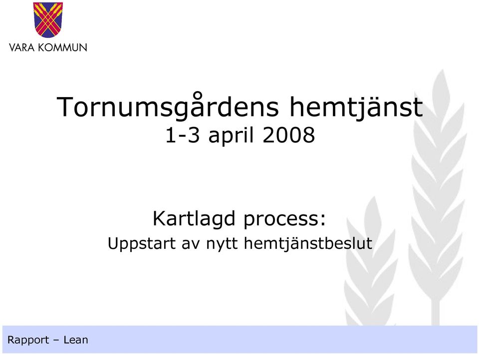 2008 Kartlagd process:
