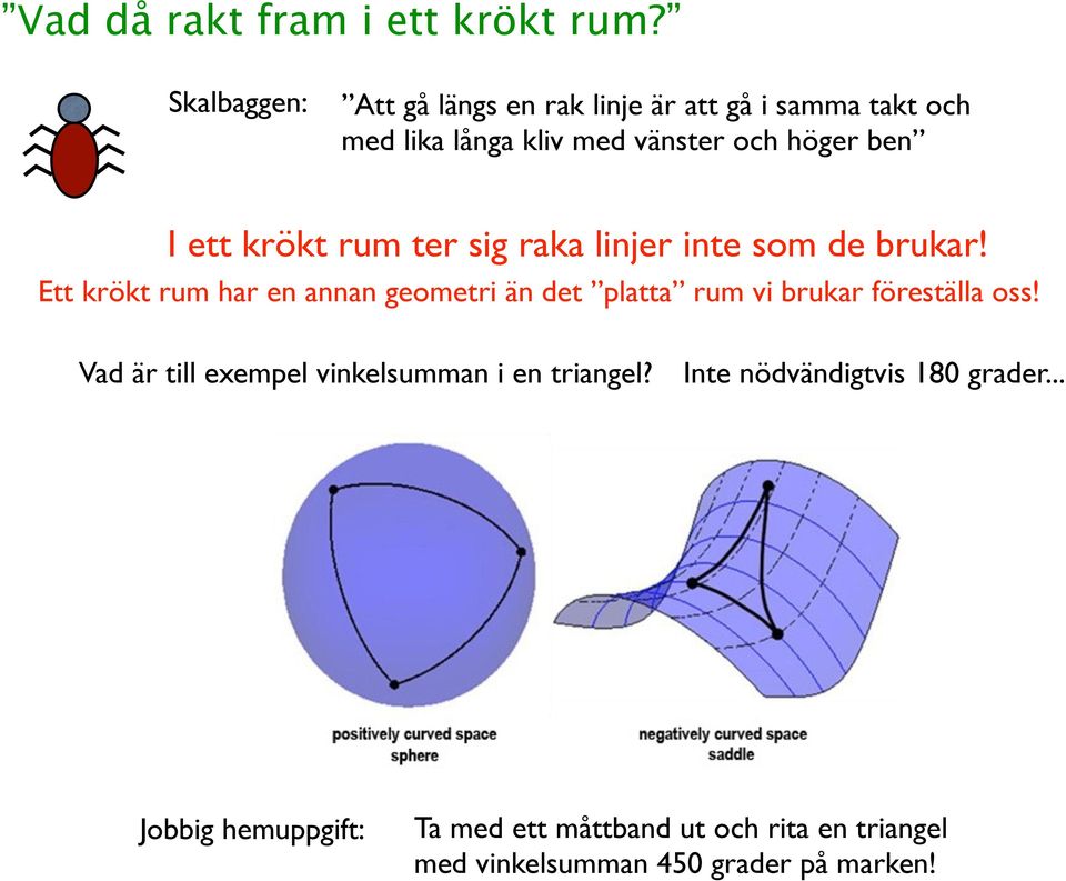 ett krökt rum ter sig raka linjer inte som de brukar!