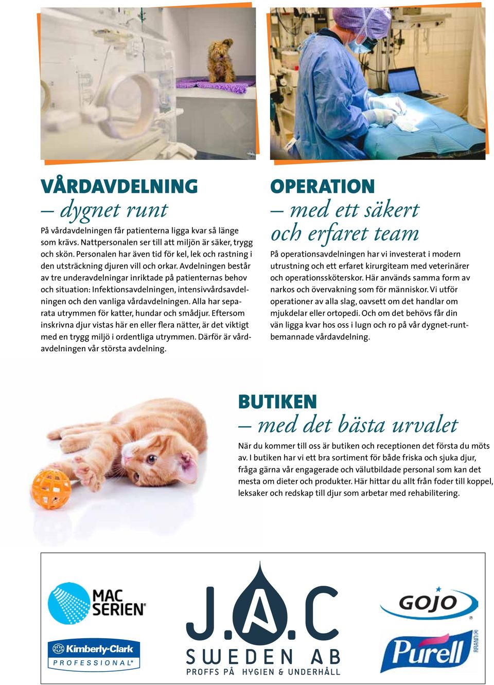 Avdelningen består av tre underavdelningar inriktade på patienternas behov och situation: Infektionsavdelningen, intensivvårdsavdelningen och den vanliga vårdavdelningen.
