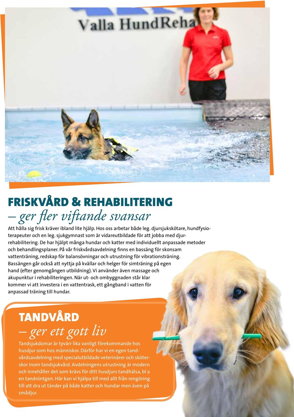 På vår friskvårdsavdelning finns en bassäng för skonsam vattenträning, redskap för balansövningar och utrustning för vibrationsträning.