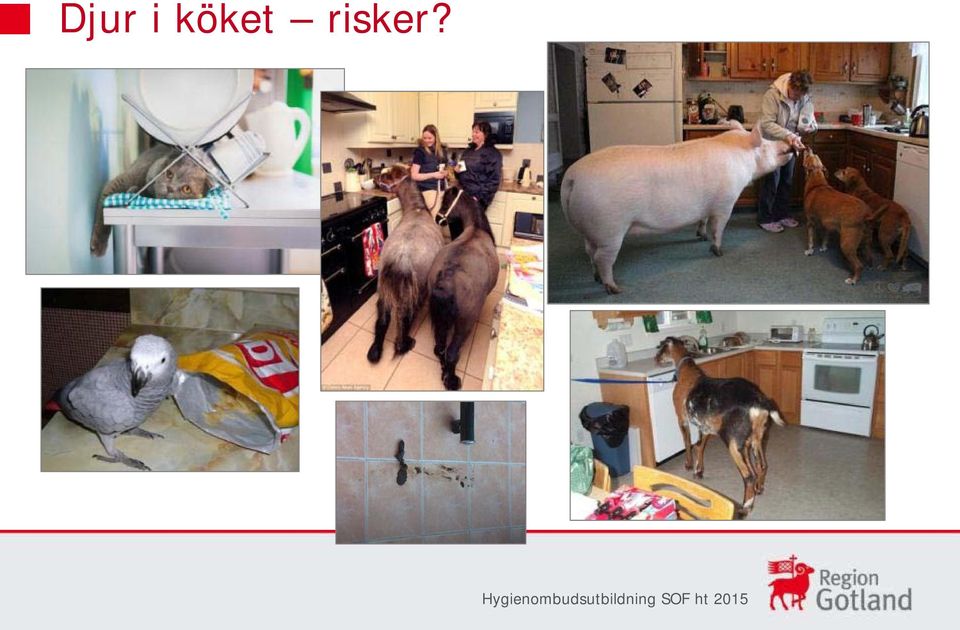 risker?