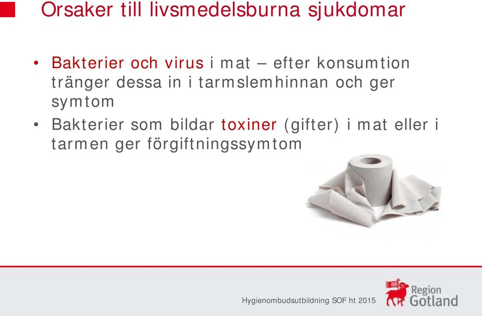 tarmslemhinnan och ger symtom Bakterier som bildar