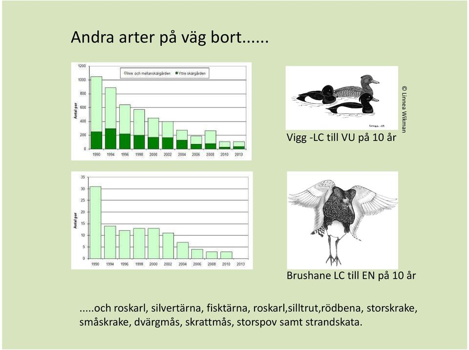 till EN på 10 år.