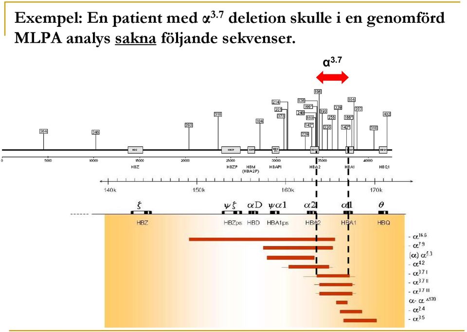 genomförd MLPA analys