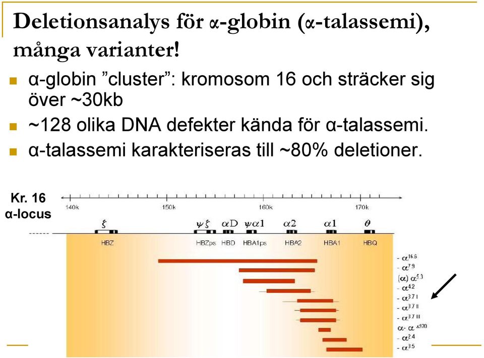 α-globin cluster : kromosom 16 och sträcker sig över