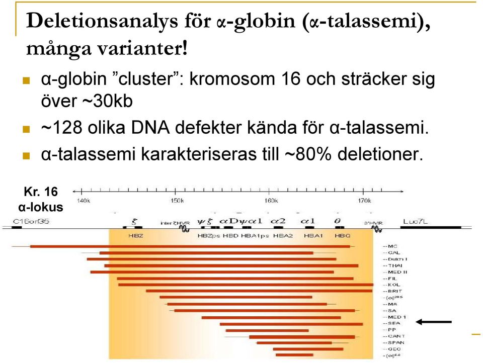 α-globin cluster : kromosom 16 och sträcker sig över