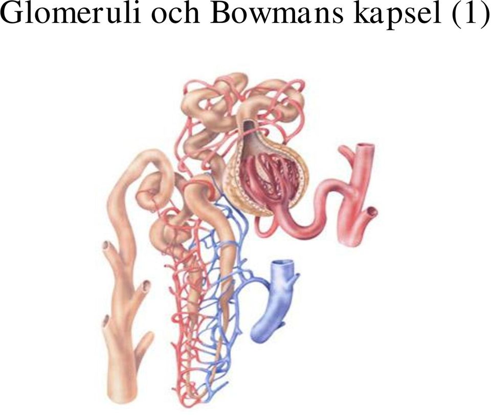 Bowmans