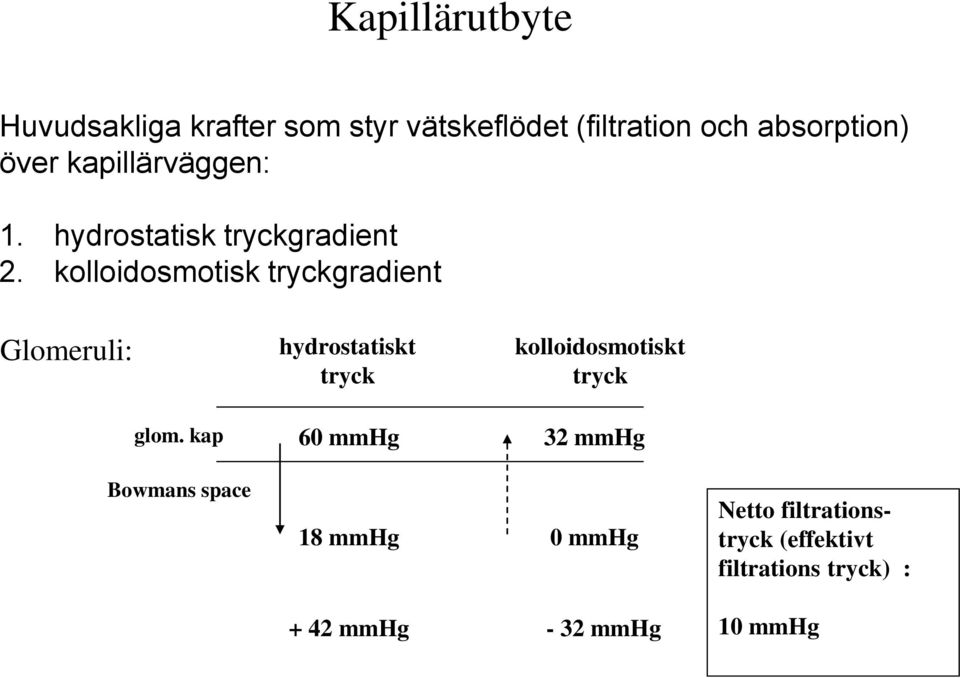kolloidosmotisk tryckgradient Glomeruli: hydrostatiskt tryck kolloidosmotiskt tryck glom.