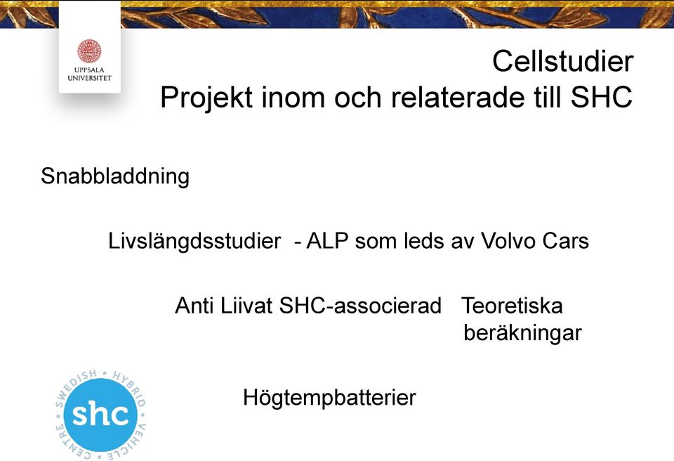 ALP som leds av Volvo Cars Anti Liivat