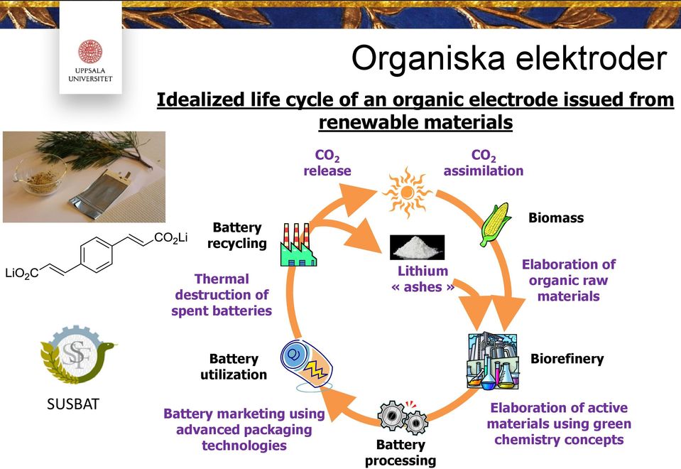 «ashes» Elaboration of organic raw materials Battery utilization Biorefinery SUSBAT Battery marketing