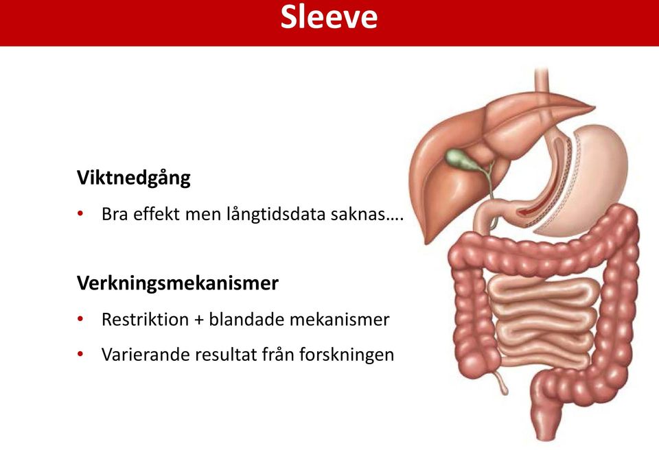 Verkningsmekanismer Restriktion +