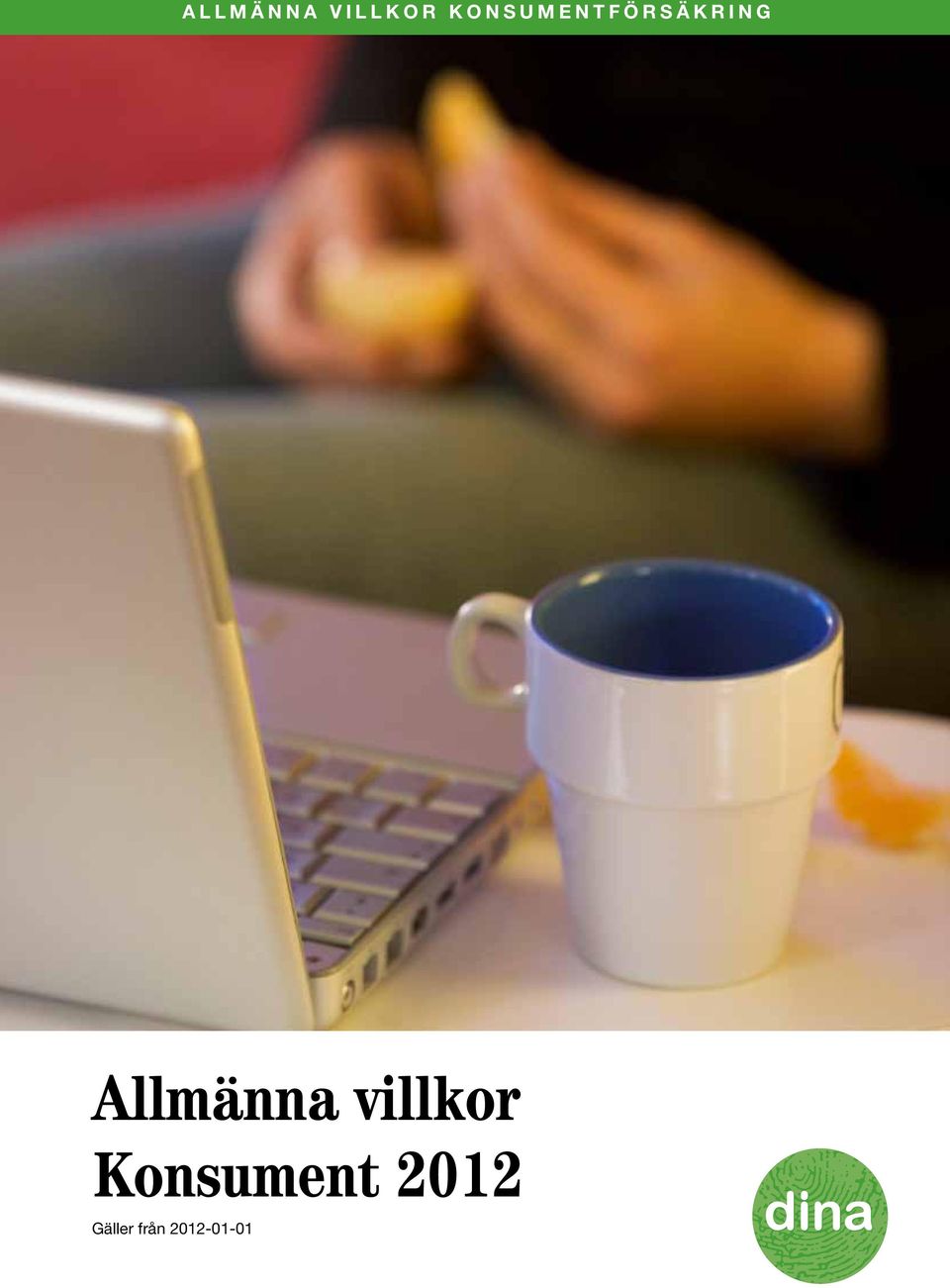 Allmänna villkor