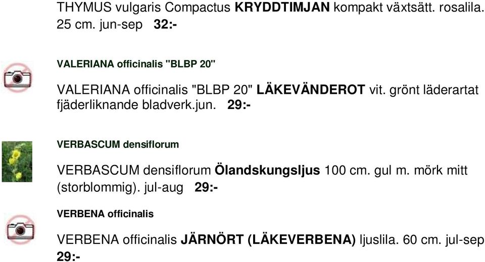 grönt läderartat fjäderliknande bladverk.jun.