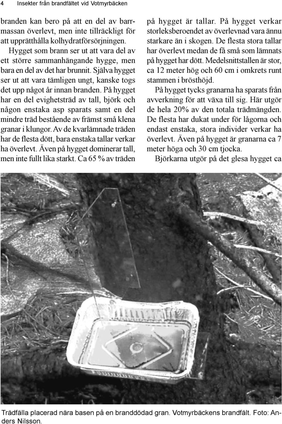 På hygget har en del evighetsträd av tall, björk och någon enstaka asp sparats samt en del mindre träd bestående av främst små klena granar i klungor.
