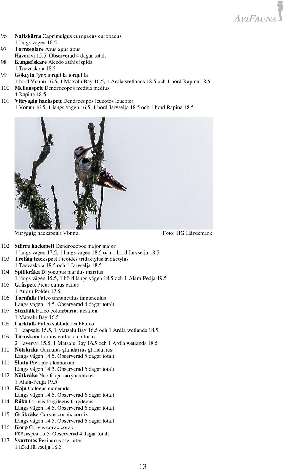 5 101 Vitryggig hackspett Dendrocopos leucotos leucotos 1 Võnnu 16.5, 1 längs vägen 16.5, 1 hörd Järvselja 18.5 och 1 hörd Rapina 18.5 Vitryggig hackspett i Vönnu.