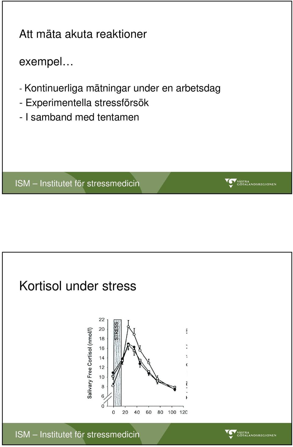 arbetsdag - Experimentella