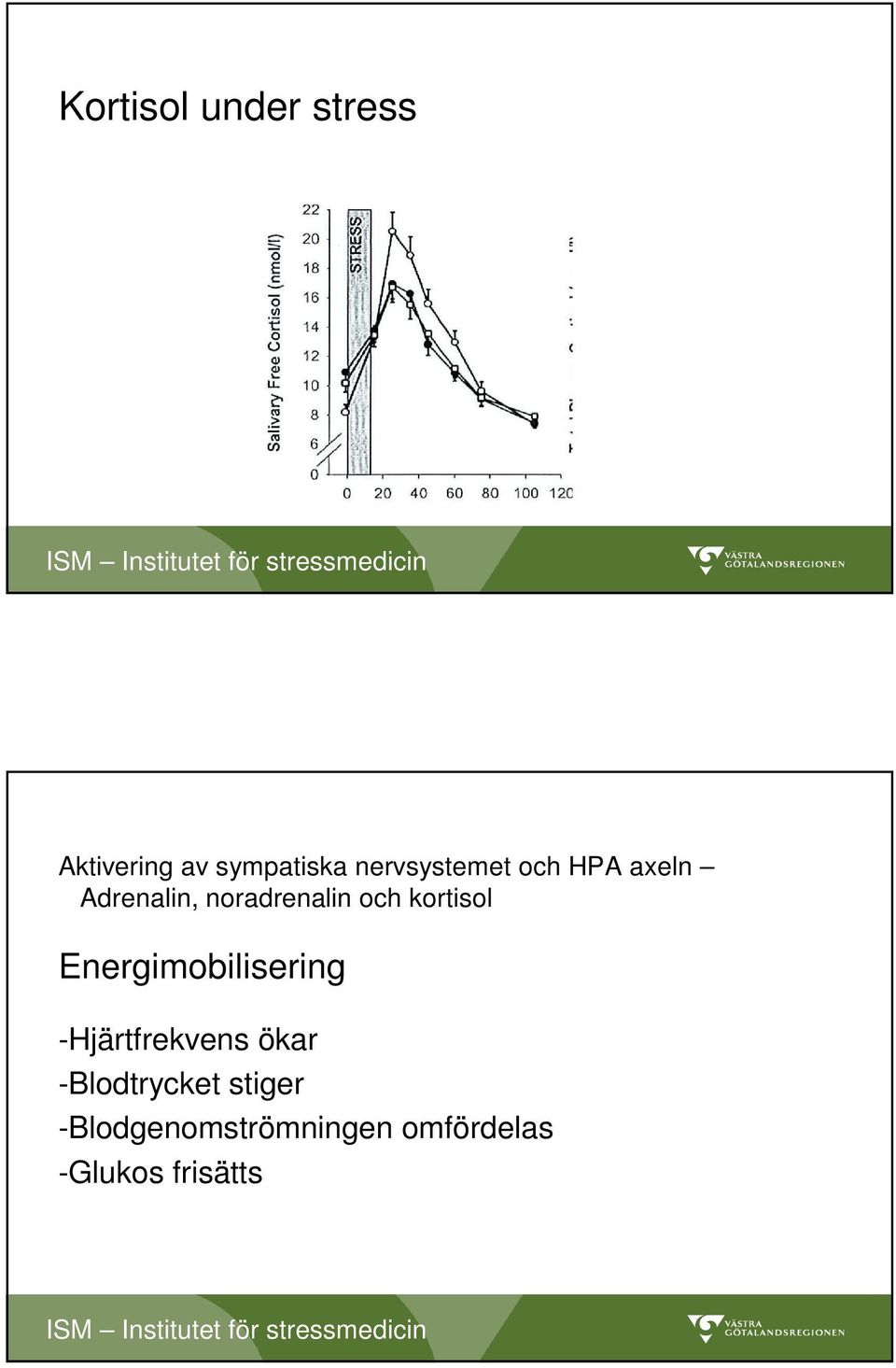 kortisol Energimobilisering -Hjärtfrekvens ökar