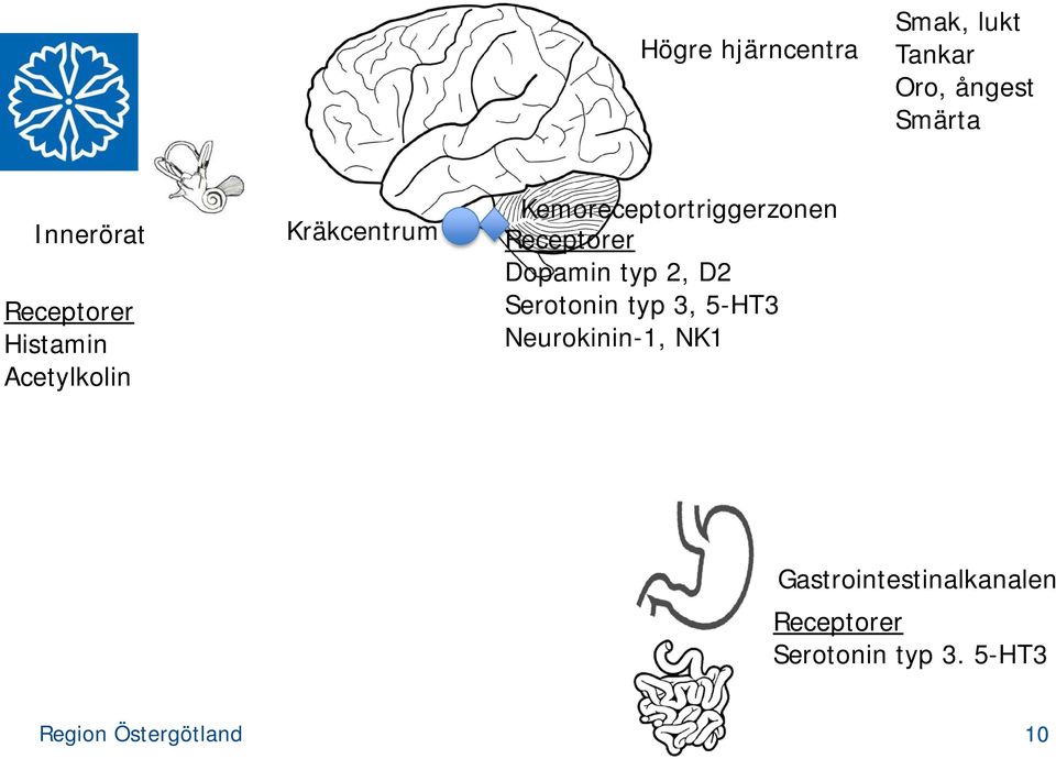 Kemoreceptortriggerzonen Receptorer Dopamin typ 2, D2 Serotonin