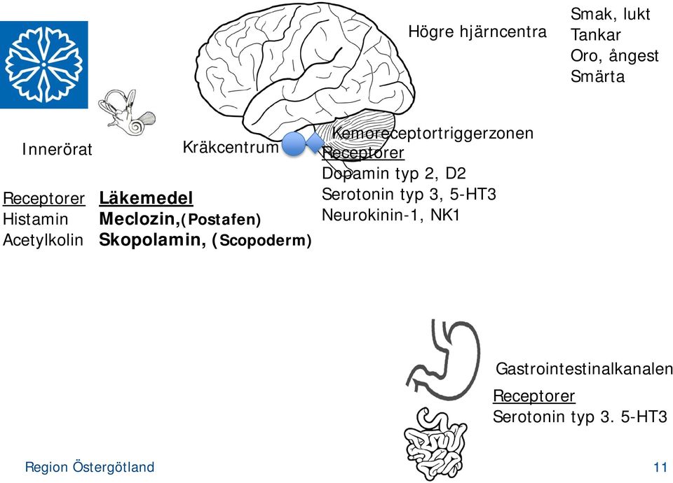 (Scopoderm) Kemoreceptortriggerzonen Receptorer Dopamin typ 2, D2 Serotonin typ