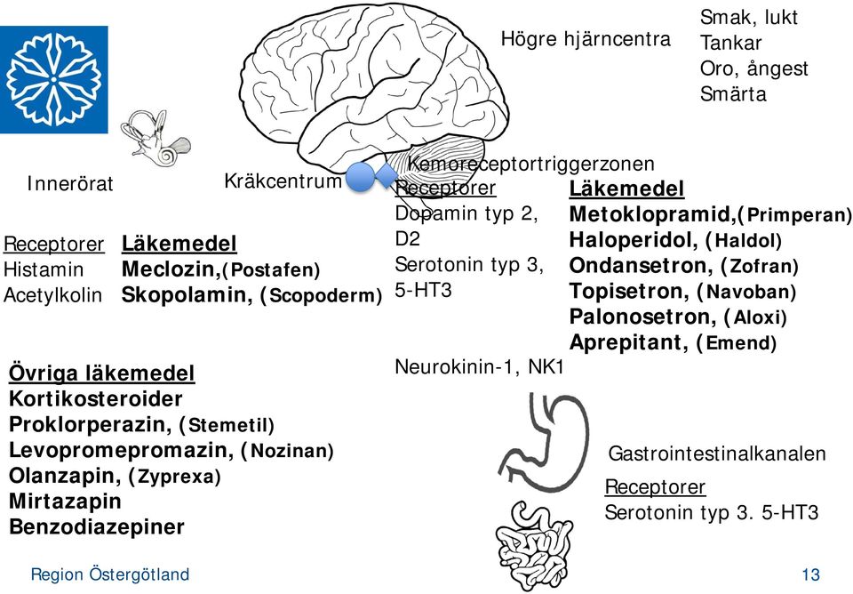 Benzodiazepiner Kemoreceptortriggerzonen Receptorer Läkemedel Dopamin typ 2, Metoklopramid,(Primperan) D2 Haloperidol, (Haldol) Serotonin typ 3,