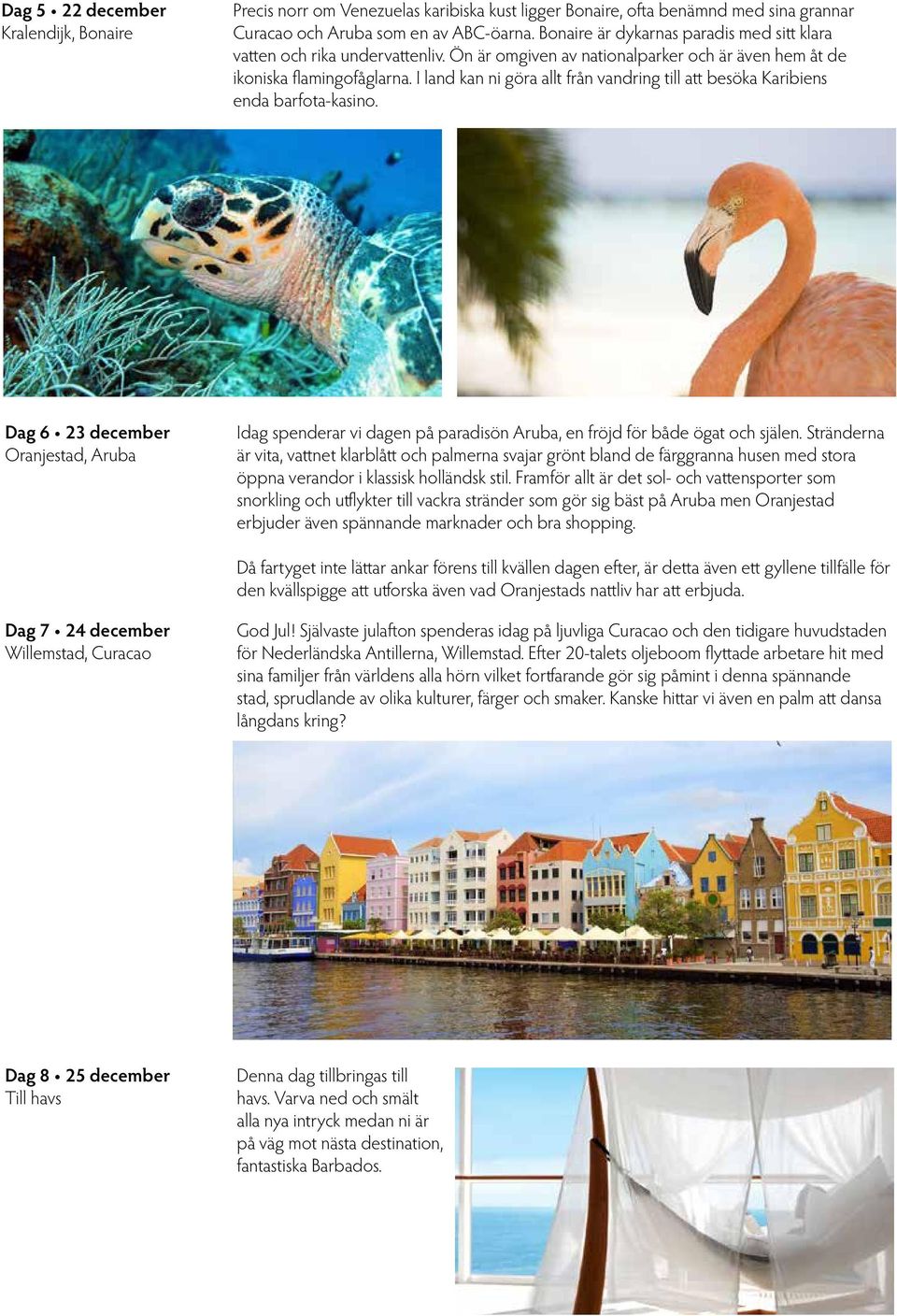 I land kan ni göra allt från vandring till att besöka Karibiens enda barfota-kasino. Dag 6 23 december Oranjestad, Aruba Idag spenderar vi dagen på paradisön Aruba, en fröjd för både ögat och själen.