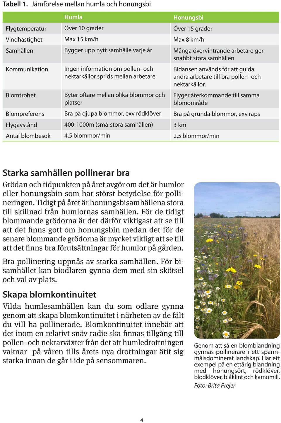 arbetare ger snabbt stora samhällen Kommunikation Blomtrohet Ingen information om pollen- och nektarkällor sprids mellan arbetare Byter oftare mellan olika blommor och platser Bidansen används för