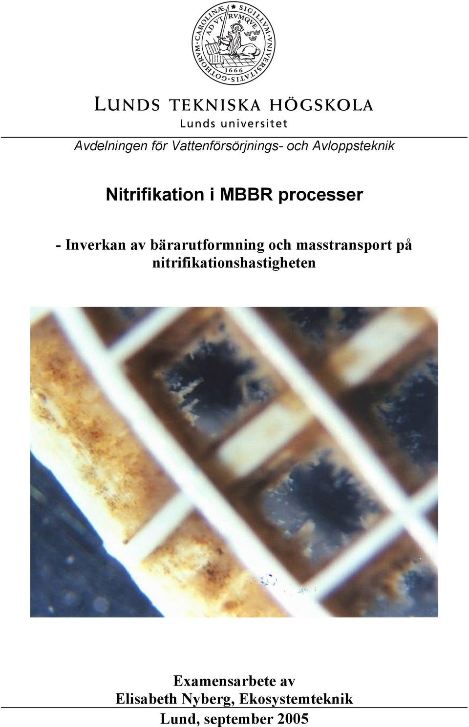 bärarutformning och masstransport på