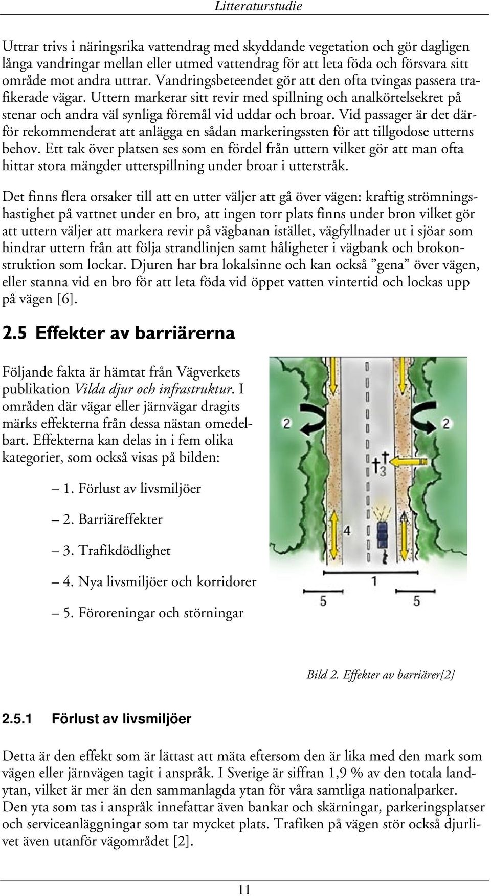 Uttern markerar sitt revir med spillning och analkörtelsekret på stenar och andra väl synliga föremål vid uddar och broar.