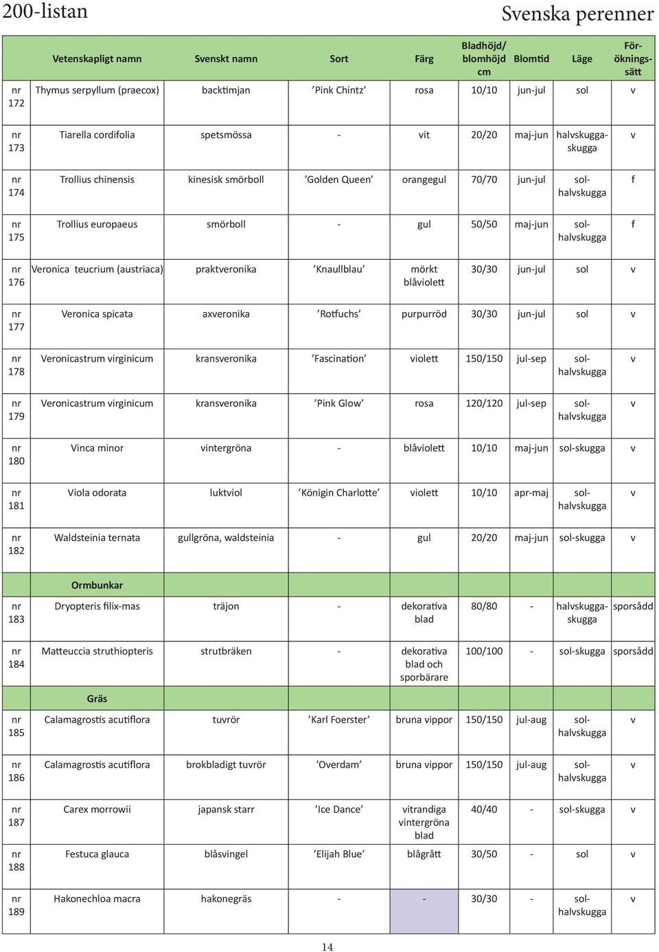 (austriaca) prakteronika Knaullblau mörkt blåiolett 30/30 jun-jul sol 177 Veronica spicata axeronika Rotuchs purpurröd 30/30 jun-jul sol 178 Veronicastrum irginicum kranseronika Fascination iolett