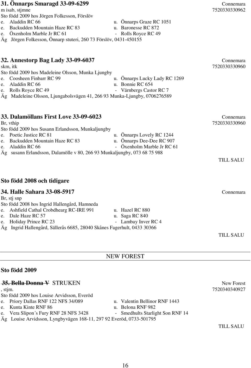 Annestorp Bag Lady 33-09-6037 Connemara skm, itk 7520330330960 Sto född 2009 hos Madeleine Olsson, Munka Ljungby e. Coosheen Finbarr RC 99 u. Önnarps Lucky Lady RC 1269 e. Aladdin RC 66 u.
