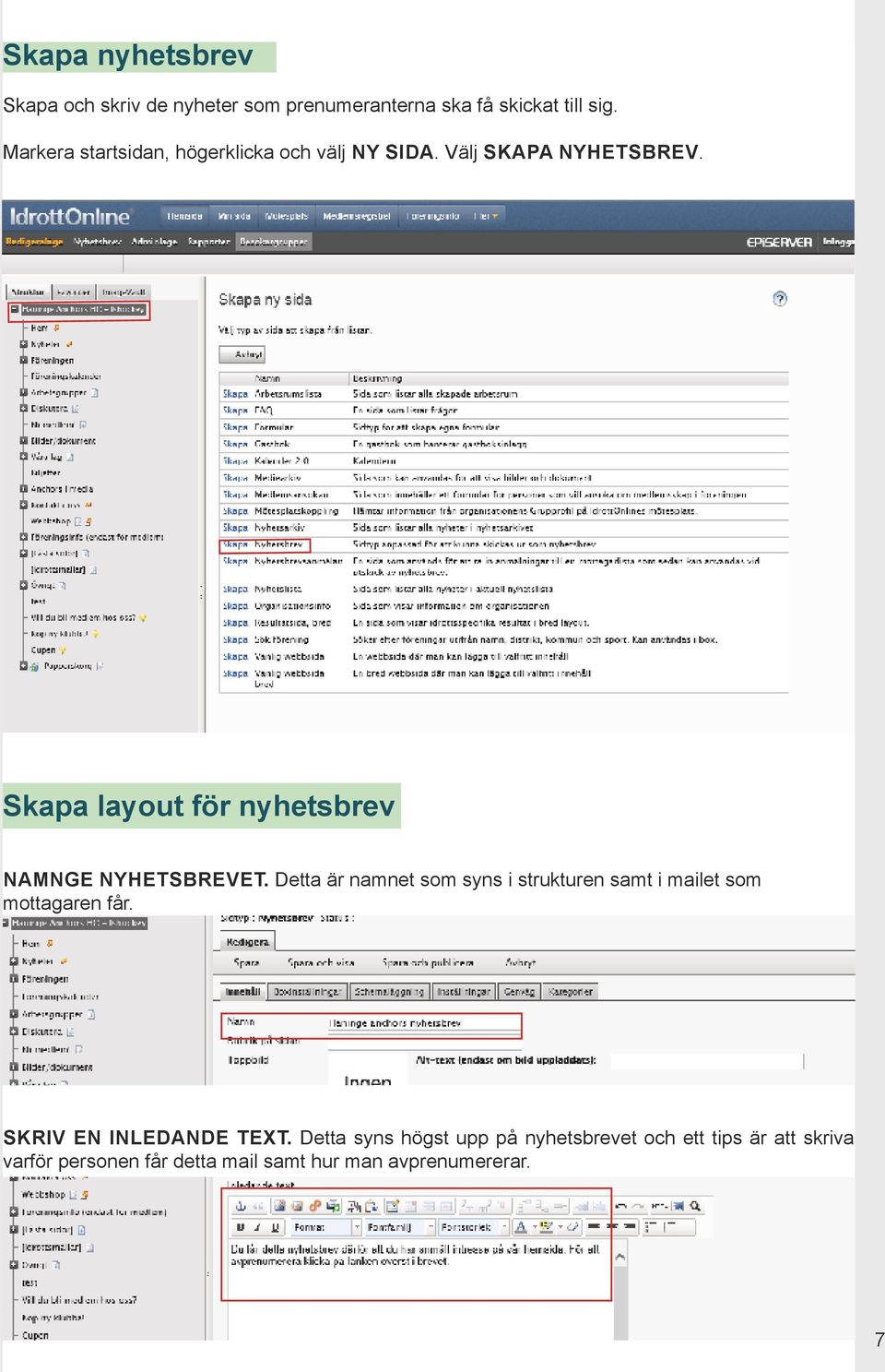 Skapa layout för nyhetsbrev NAMNGE NYHETSBREVET.