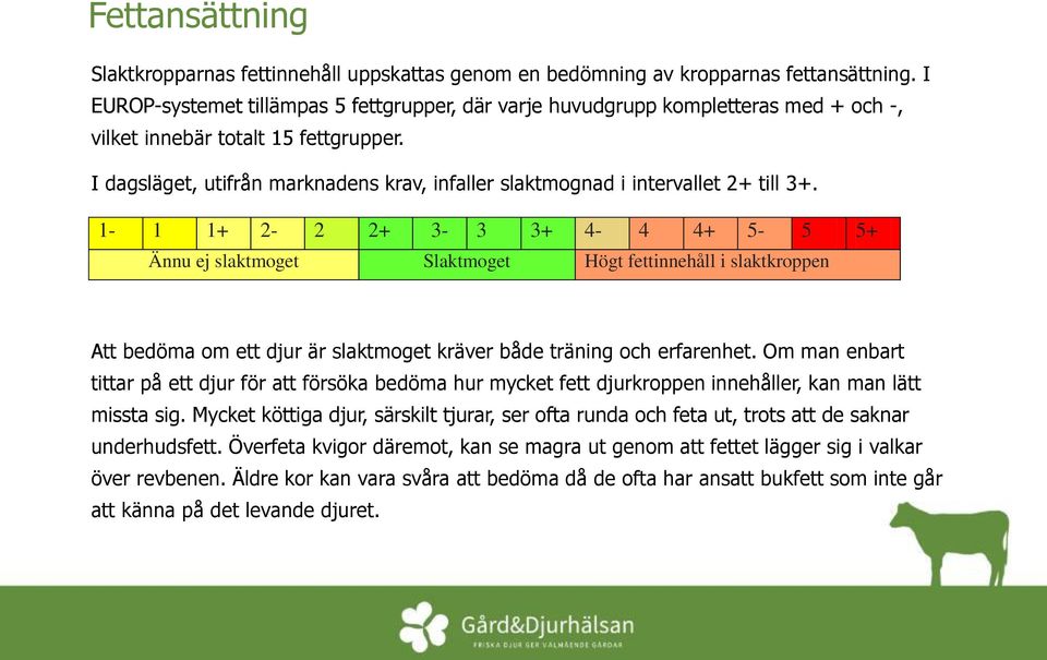 I dagsläget, utifrån marknadens krav, infaller slaktmognad i intervallet 2+ till 3+.