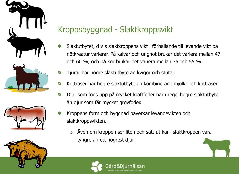 Tjurar har högre slaktutbyte än kvigor och stutar. Köttraser har högre slaktutbyte än kombinerade mjölk- och köttraser.