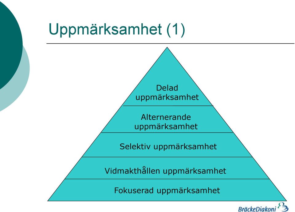 uppmärksamhet Selektiv