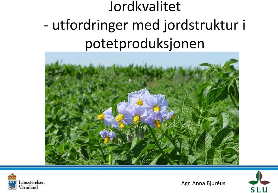 jordstruktur i