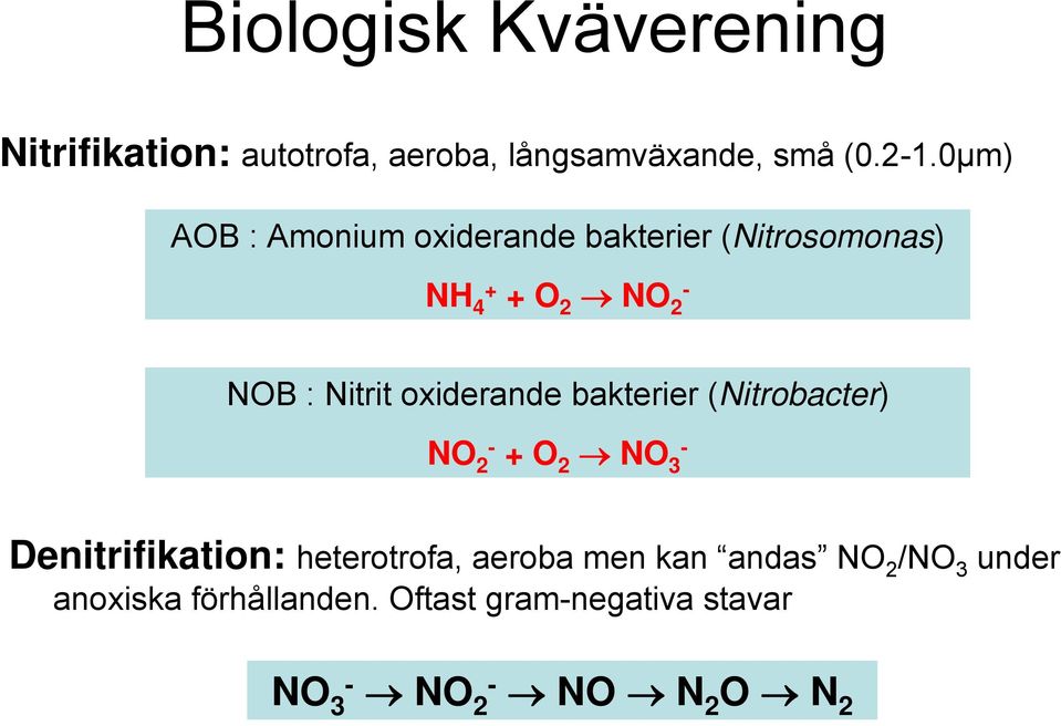 oxiderande bakterier (Nitrobacter) NO 2- + O 2 NO 3 - Denitrifikation: heterotrofa, aeroba