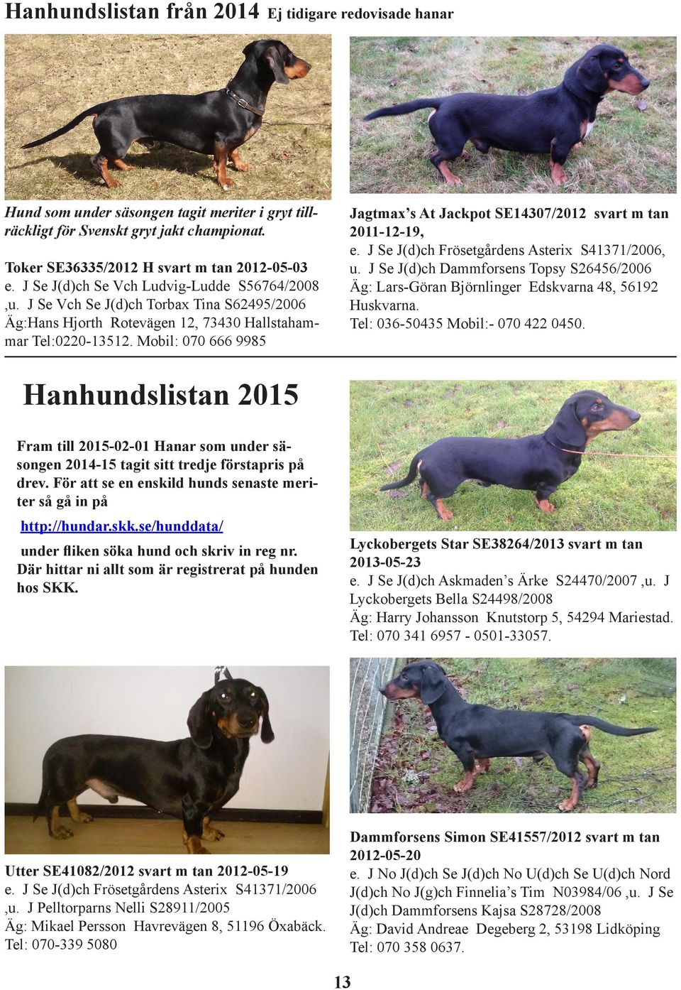 Mobil: 070 666 9985 Jagtmax s At Jackpot SE14307/2012 svart m tan 2011-12-19, e. J Se J(d)ch Frösetgårdens Asterix S41371/2006, u.