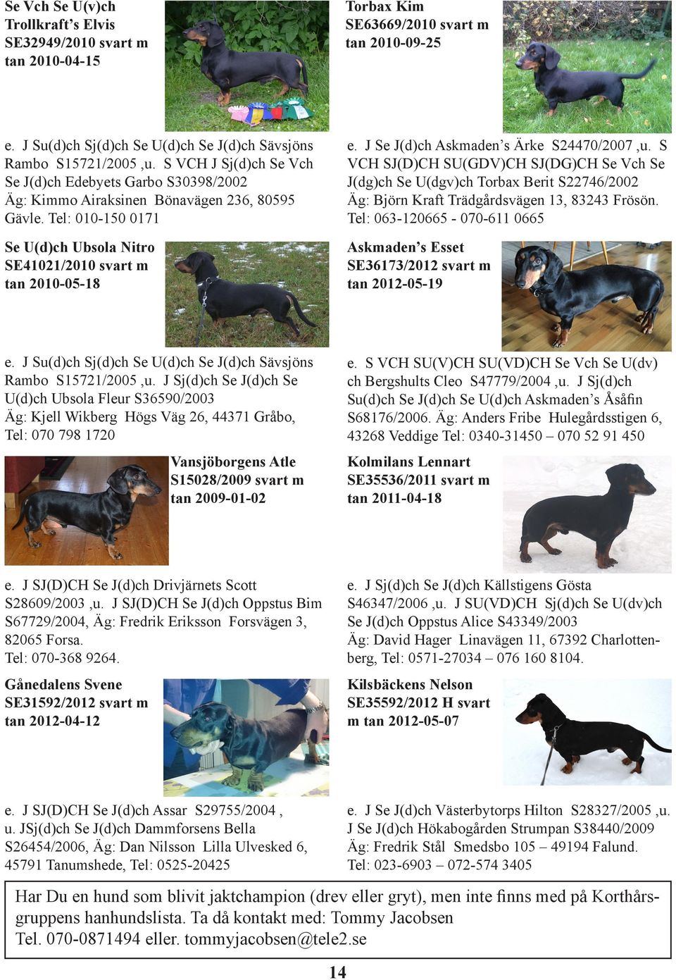 J Se J(d)ch Askmaden s Ärke S24470/2007,u. S VCH SJ(D)CH SU(GDV)CH SJ(DG)CH Se Vch Se J(dg)ch Se U(dgv)ch Torbax Berit S22746/2002 Äg: Björn Kraft Trädgårdsvägen 13, 83243 Frösön.