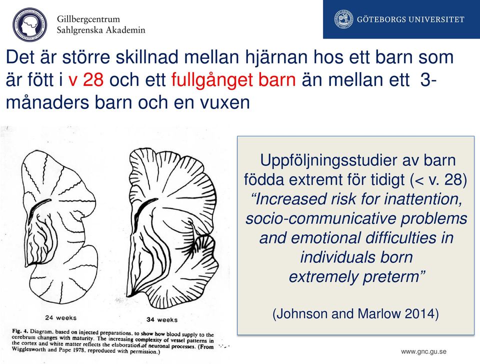 födda extremt för tidigt (< v.