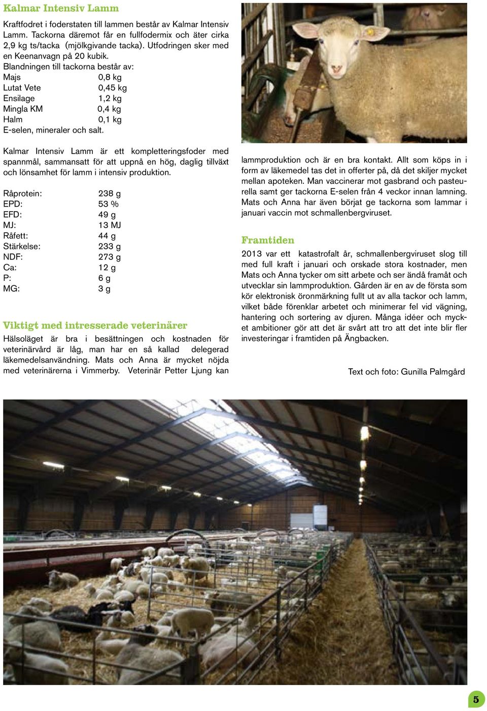 Kalmar Intensiv Lamm är ett kompletteringsfoder med spannmål, sammansatt för att uppnå en hög, daglig tillväxt och lönsamhet för lamm i intensiv produktion.