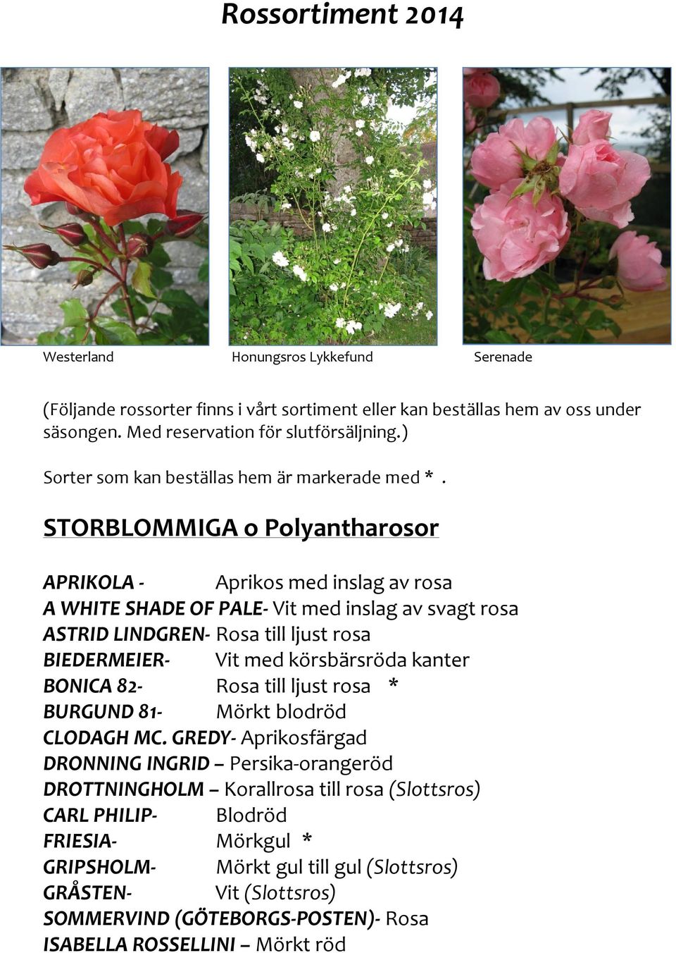 STORBLOMMIGA o Polyantharosor APRIKOLA - Aprikos med inslag av rosa A WHITE SHADE OF PALE- Vit med inslag av svagt rosa ASTRID LINDGREN- Rosa till ljust rosa BIEDERMEIER- Vit med